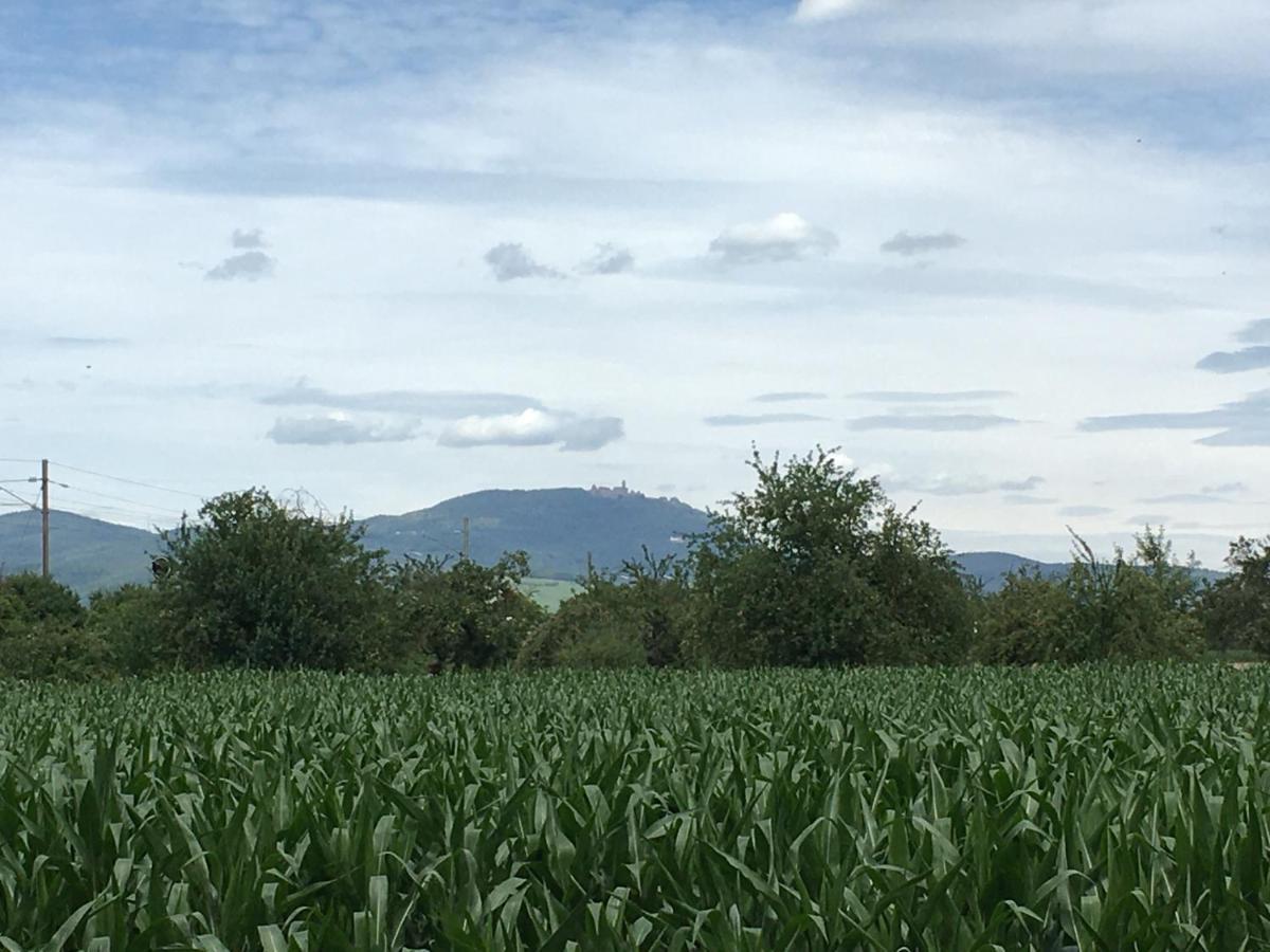 Gite D'Alsace L'Escale Ostheim Kültér fotó