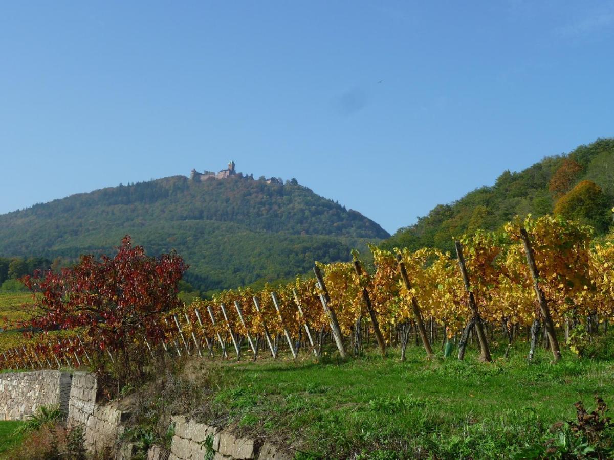Gite D'Alsace L'Escale Ostheim Kültér fotó